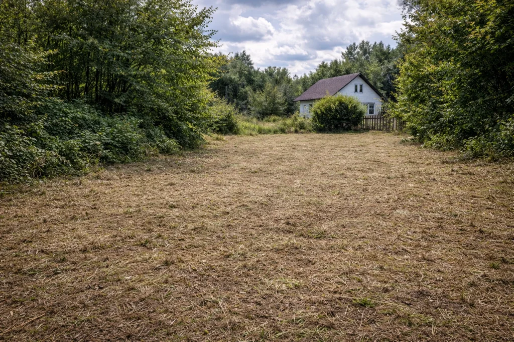 Parcela u Beogradu nakon što je odrađeno krčenje šiblja i sitnog rastinja tarupom.